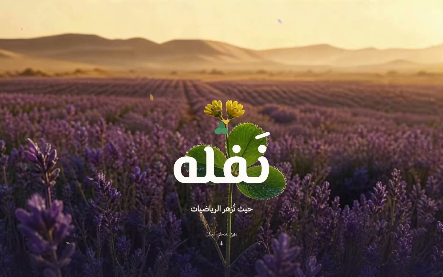 Nafla education site